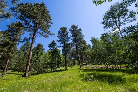 lot18 Cuba St, Deadwood, SD 57732