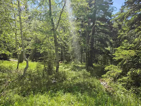 tbd Terry Peak Summit Rd, Lead, SD 57754 photo 8