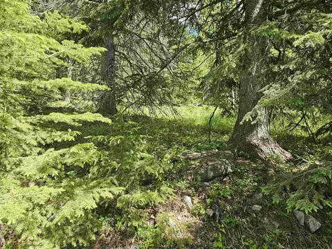 tbd Terry Peak Summit Rd, Lead, SD 57754 photo 5