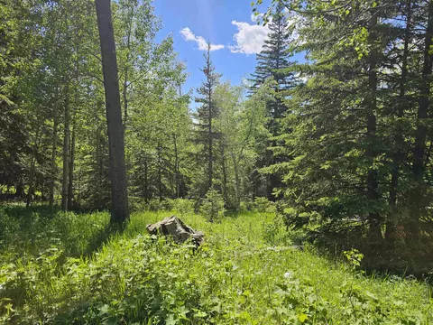 tbd Terry Peak Summit Rd, Lead, SD 57754 photo 2