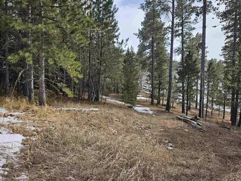 tbd Terry Peak Summit Rd, Lead, SD 57754 photo 17
