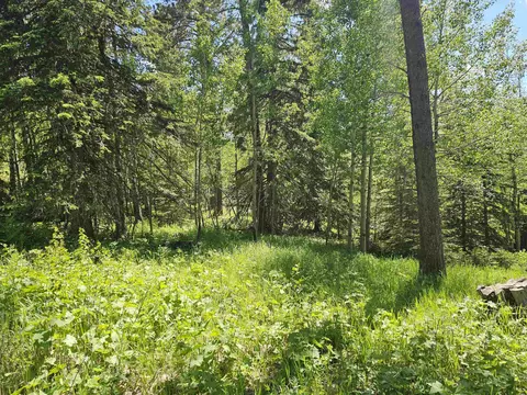 tbd Terry Peak Summit Rd, Lead, SD 57754 photo 11