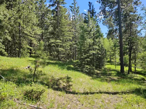 tbd Terry Peak Summit Rd, Lead, SD 57754 photo 6