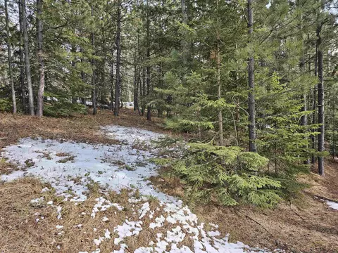 tbd Terry Peak Summit Rd, Lead, SD 57754 photo 16