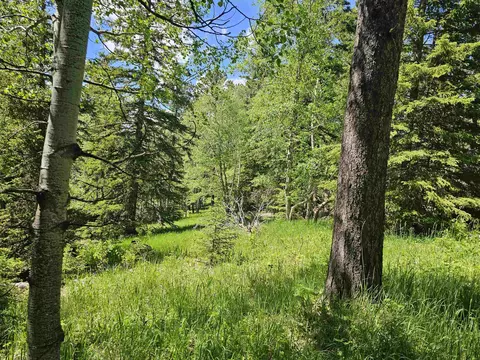 tbd Terry Peak Summit Rd, Lead, SD 57754