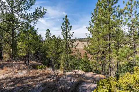 View/Area - tbd Highway 16, Edgemont, SD 57735 photo 5 of 6