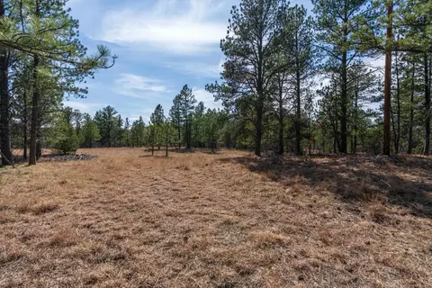 Other - tbd Highway 16, Edgemont, SD 57735 photo 15 of 25