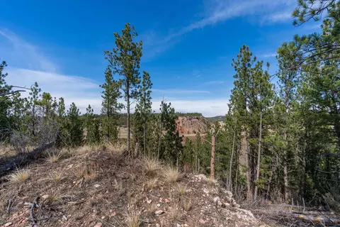 View/Area - tbd Highway 16, Edgemont, SD 57735 photo 3 of 6