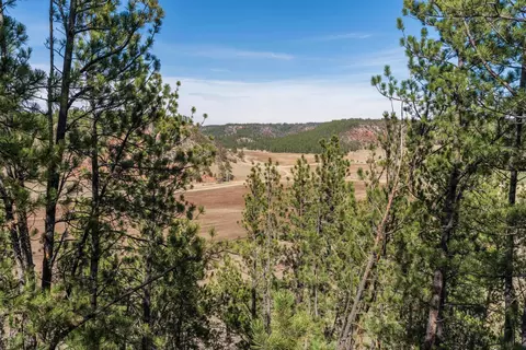 View/Area - tbd Highway 16, Edgemont, SD 57735 photo 6 of 6