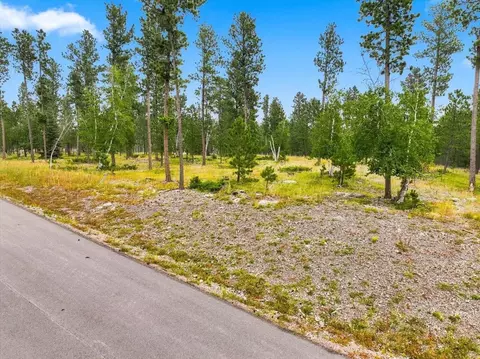 lot8 Block 4 Other, Lead, SD 57754 photo 4
