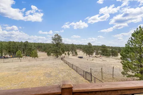 25278 Wittrock Rd, Custer, SD 57730 photo 44