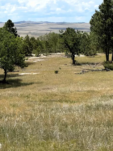 Tract 1, Oshoto, WY 82721