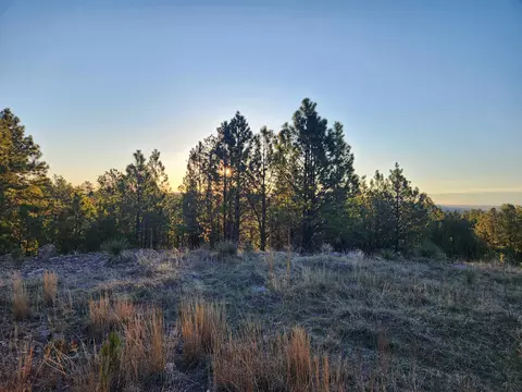 27317 Flagstone Rd, Hot Springs, SD 57747