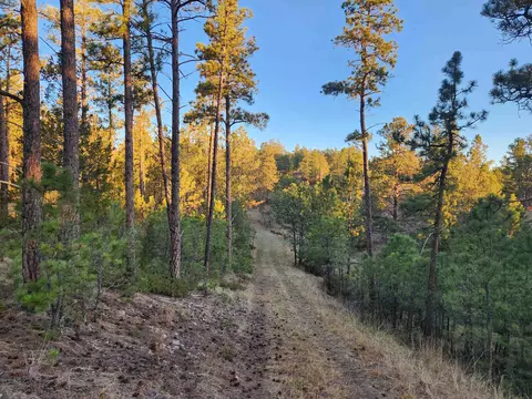 27317 Flagstone Rd, Hot Springs, SD 57747