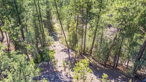 26666 Winchester Rd, Custer, SD 57730 photo 24