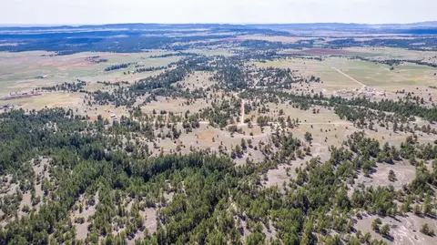 26666 Winchester Rd, Custer, SD 57730 photo 6