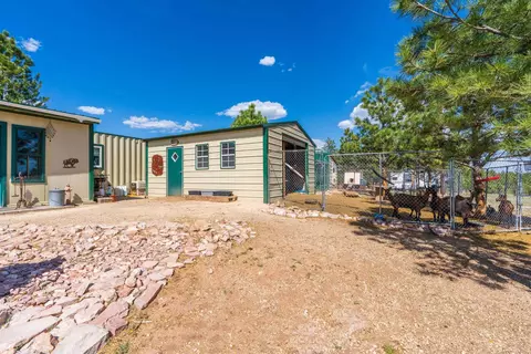 26666 Winchester Rd, Custer, SD 57730 photo 18