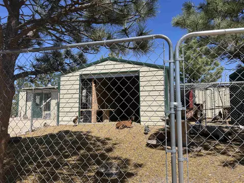 26666 Winchester Rd, Custer, SD 57730 photo 21