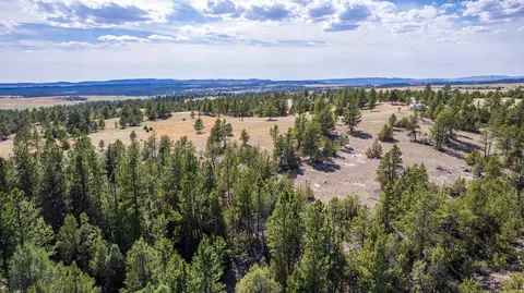 26666 Winchester Rd, Custer, SD 57730 photo 28