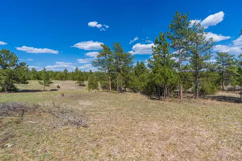 26666 Winchester Rd, Custer, SD 57730 photo 23