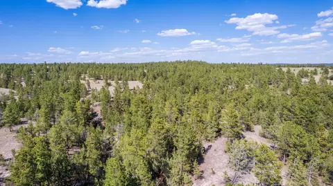 26666 Winchester Rd, Custer, SD 57730 photo 27