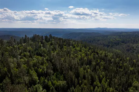 lot58 Deer Mountain Rd, Lead, SD 57754 photo 20