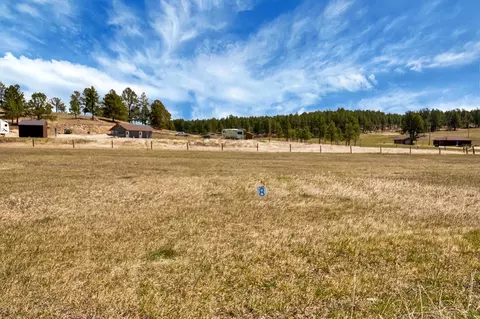 tbd Lot 8 Pleasent Valley Rd, Custer, SD 57730 photo 5