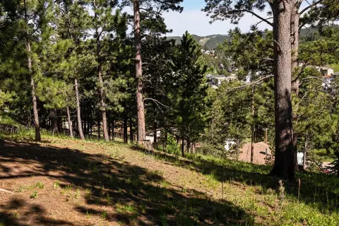 tbd Davidson Ct, Lead, SD 57754 photo 3