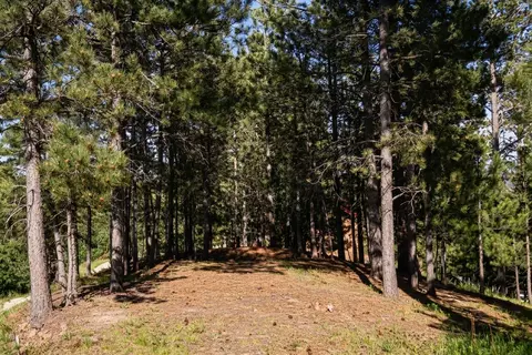 tbd Davidson Ct, Lead, SD 57754