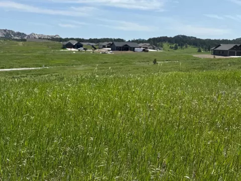 lot27 Bl 1 Park Ave, Custer, SD 57730 photo 8