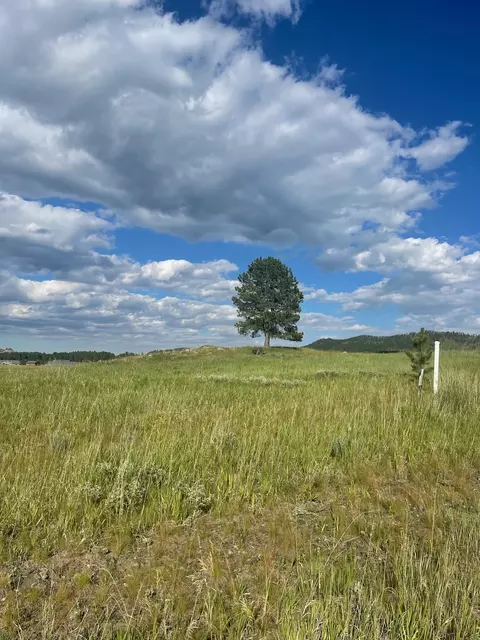 lot28 Bl 1 Park Ave, Custer, SD 57730 photo 8