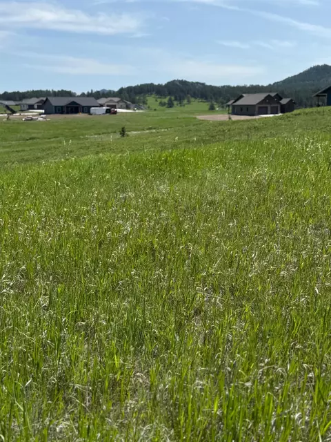 lot28 Bl 1 Park Ave, Custer, SD 57730 photo 7
