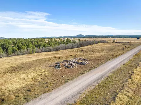 lot6 Block 1 Cedar Berry Dr, Spearfish, SD 57783 photo 3