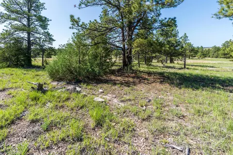 Big Sky 7 Elk Run Road, Custer, SD 57730 photo 12
