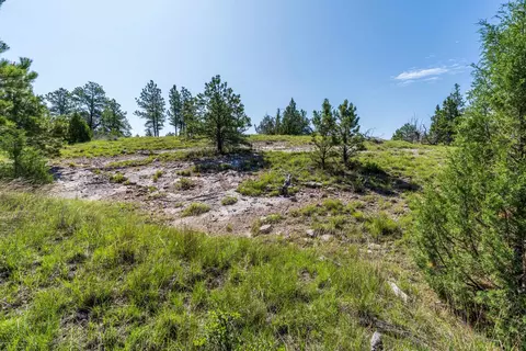 Big Sky 7 Elk Run Road, Custer, SD 57730 photo 23