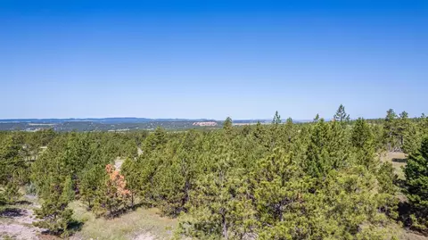 Big Sky 7 Elk Run Road, Custer, SD 57730 photo 5