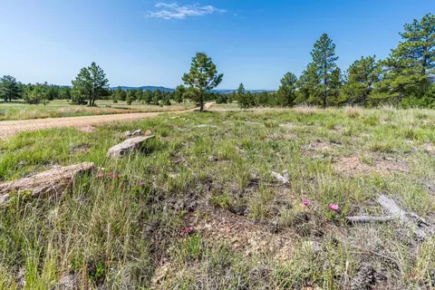 Big Sky 7 Elk Run Road, Custer, SD 57730 photo 10