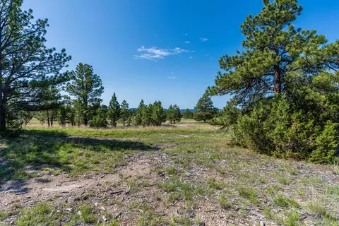 Big Sky 7 Elk Run Road, Custer, SD 57730 photo 13