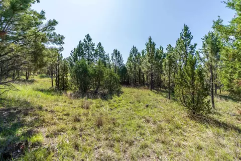 Big Sky 7 Elk Run Road, Custer, SD 57730 photo 22