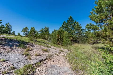 Big Sky 7 Elk Run Road, Custer, SD 57730 photo 20