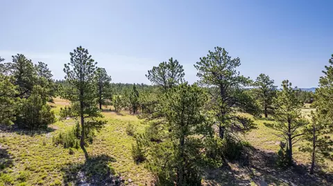 Big Sky 7 Elk Run Road, Custer, SD 57730 photo 8