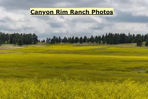 Big Sky 7 Elk Run Road, Custer, SD 57730 photo 34
