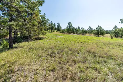 Big Sky 7 Elk Run Road, Custer, SD 57730 photo 25