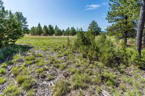 Big Sky 7 Elk Run Road, Custer, SD 57730 photo 16