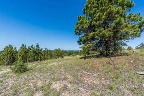 Big Sky 7 Elk Run Road, Custer, SD 57730 photo 21