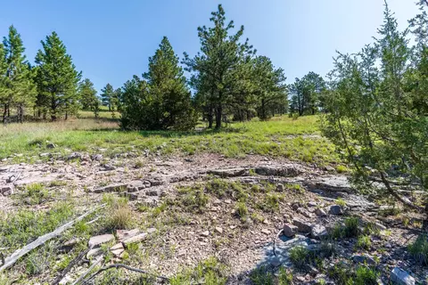 Big Sky 7 Elk Run Road, Custer, SD 57730 photo 19
