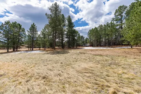 126 Surrey Ln, Custer, SD 57730 photo 13