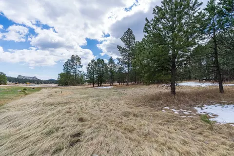 126 Surrey Ln, Custer, SD 57730 photo 15