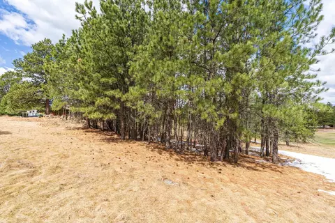 126 Surrey Ln, Custer, SD 57730 photo 9