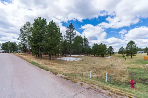 126 Surrey Ln, Custer, SD 57730 photo 17
